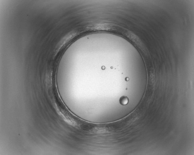 X0000080180534200612081403