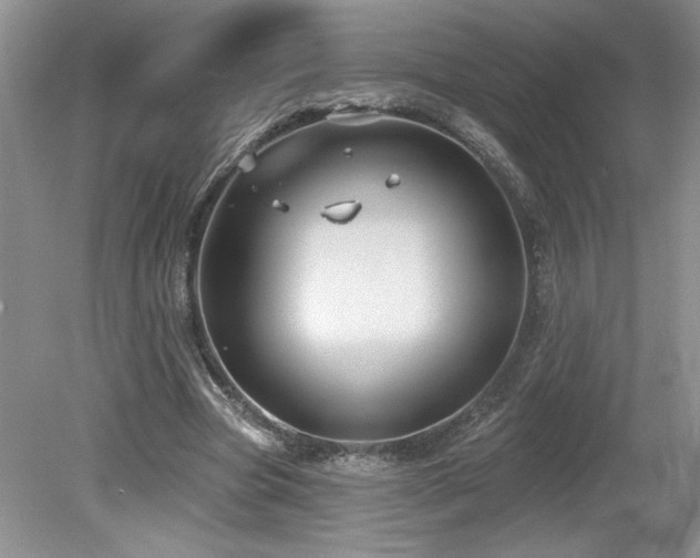 X0000080180537200612081404