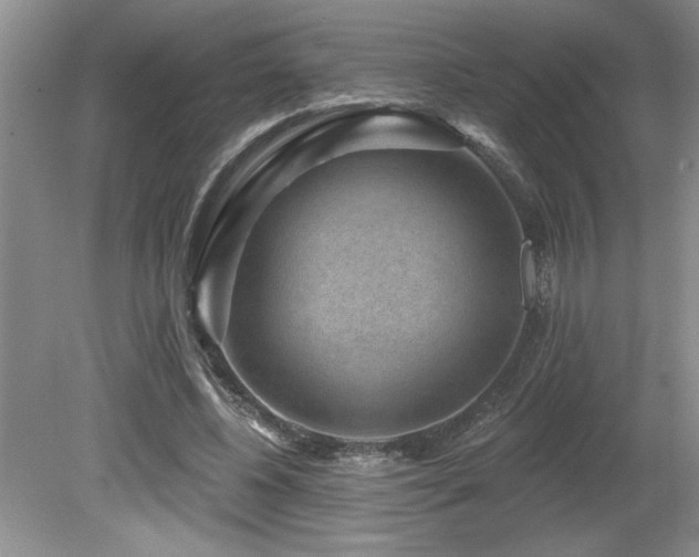 X0000080180540200612081404