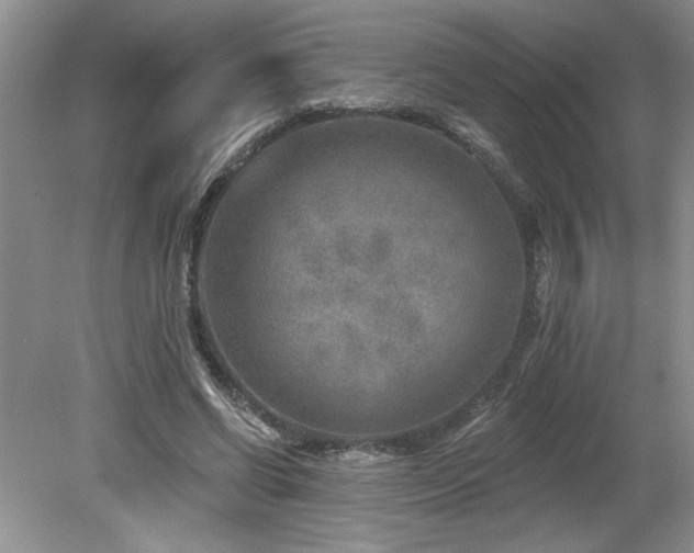 X0000080180542200612081404