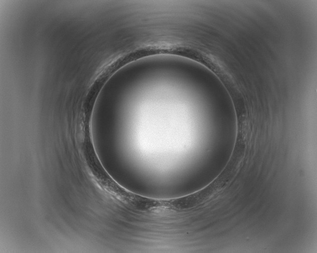 X0000080180544200612081404