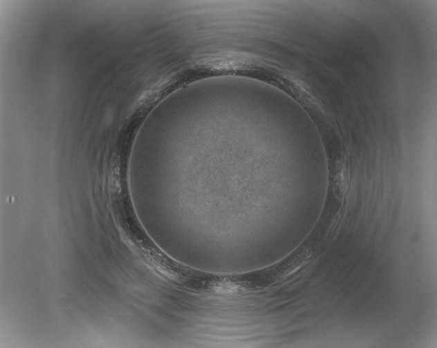 X0000080180547200612081404