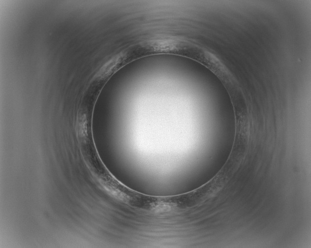 X0000080180549200612081404