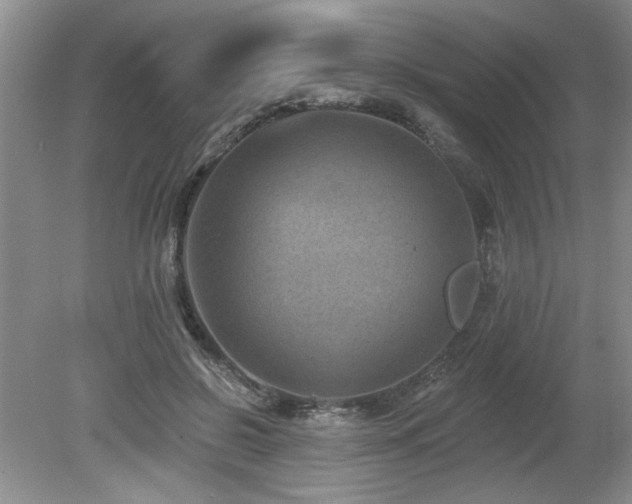 X0000080180550200612081404