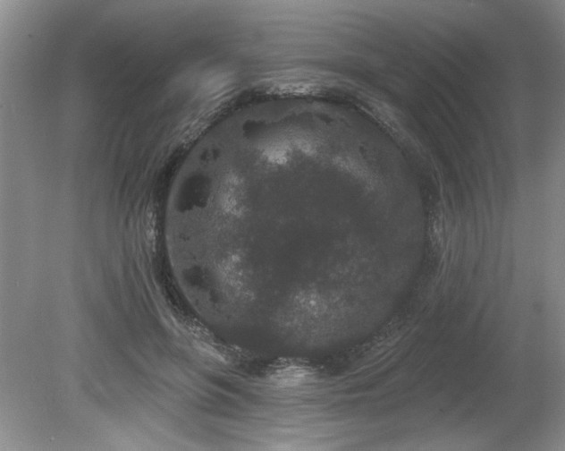 X0000080180551200612081404