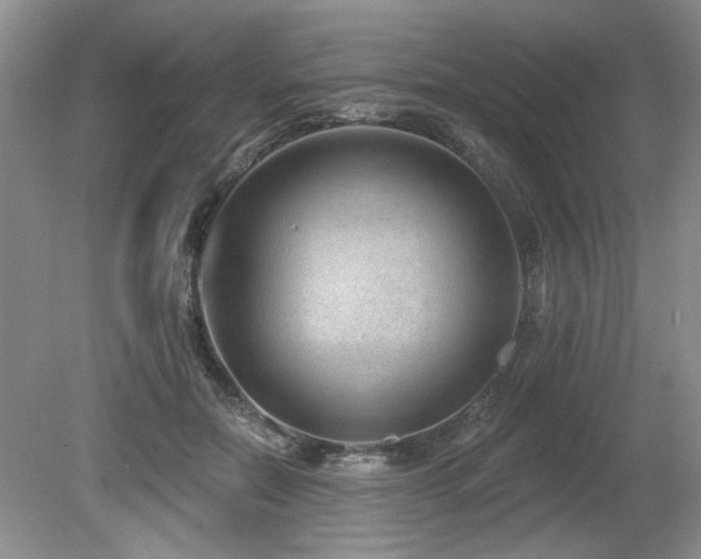 X0000080180554200612081404