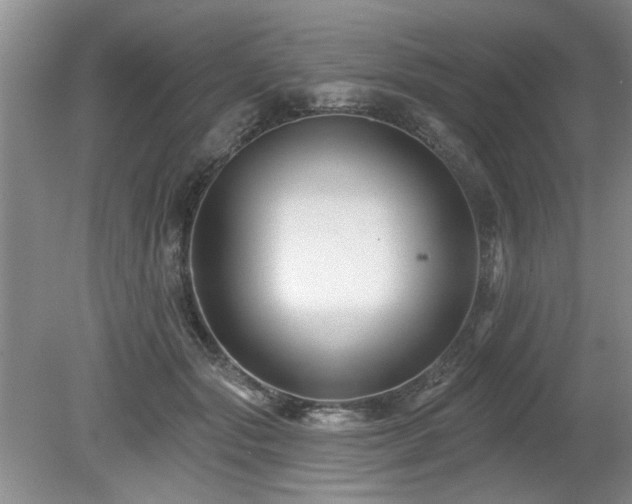 X0000080180557200612081404