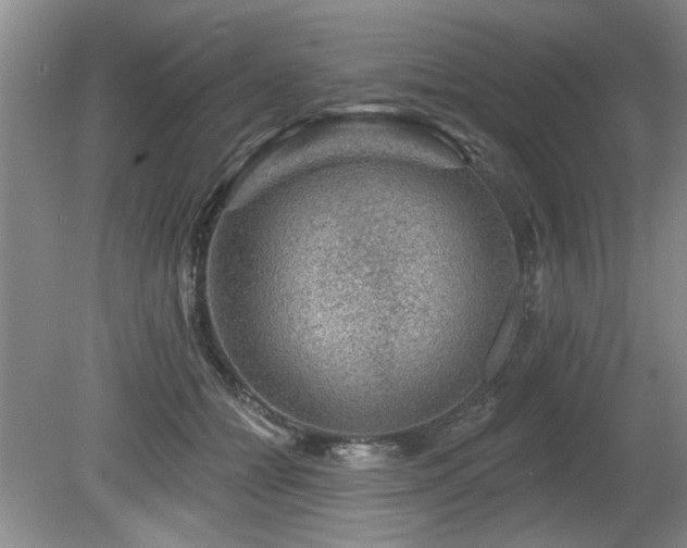 X0000080180558200612081404