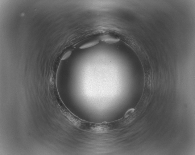 X0000080180561200612081404