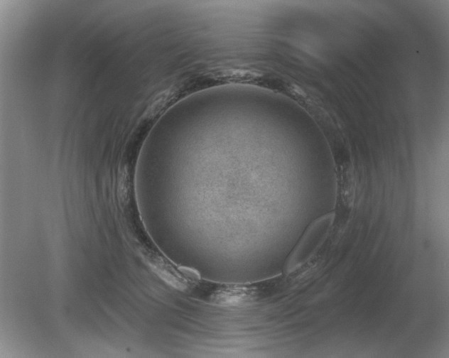 X0000080180563200612081404