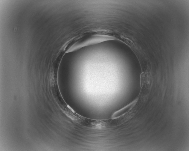 X0000080180564200612081404