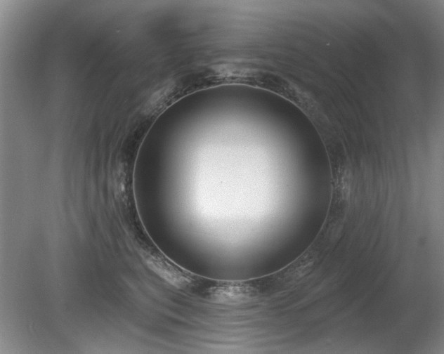 X0000080180567200612081404