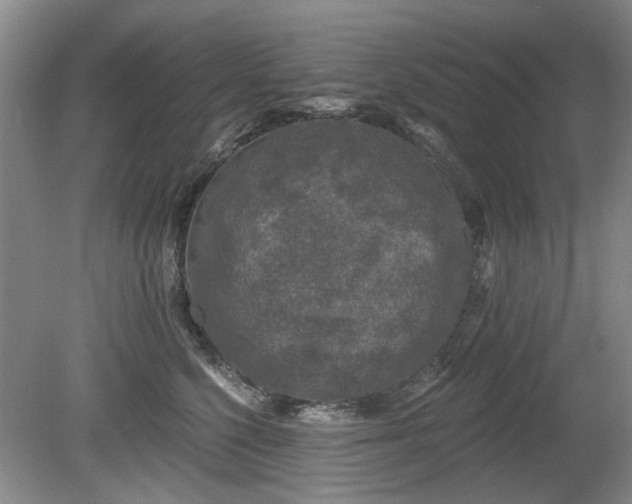 X0000080180568200612081404