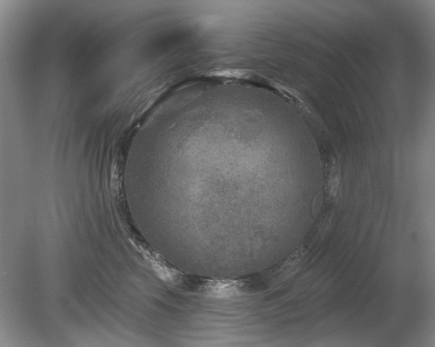 X0000080180569200612081404