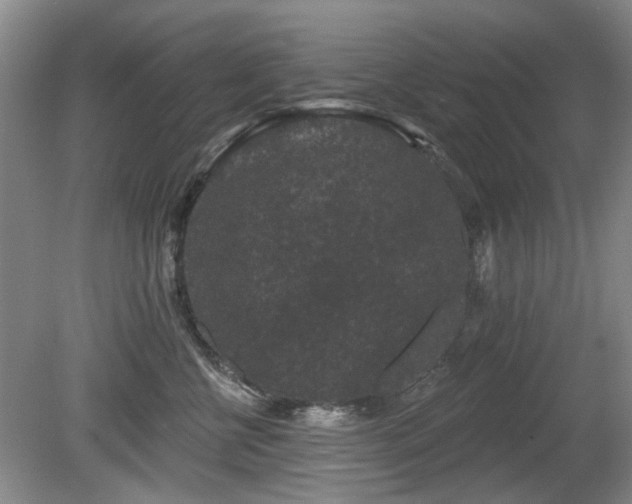 X0000080180570200612081404