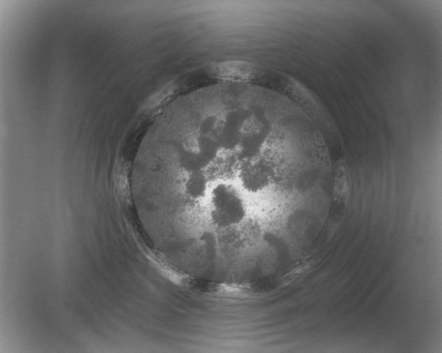 X0000080180573200612081404