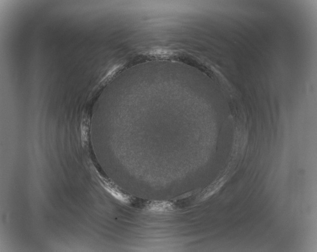 X0000080180576200612081404