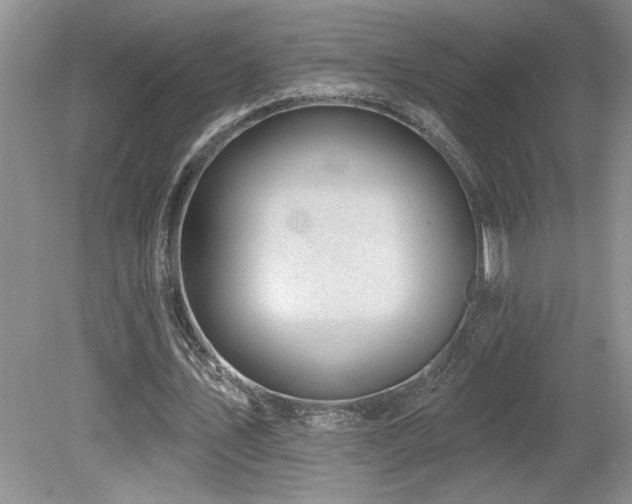 X0000080180579200612081403