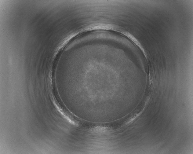 X0000080180581200612081403