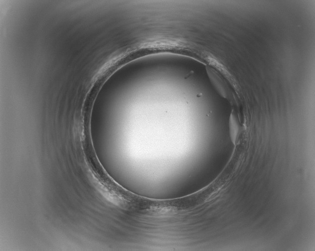 X0000080180582200612081403