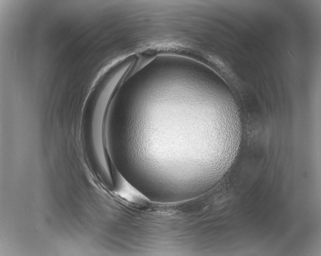 X0000080180583200612081403