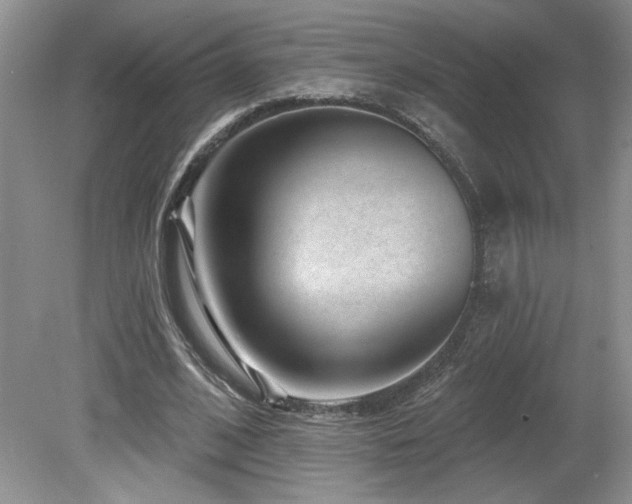 X0000080180584200612081403