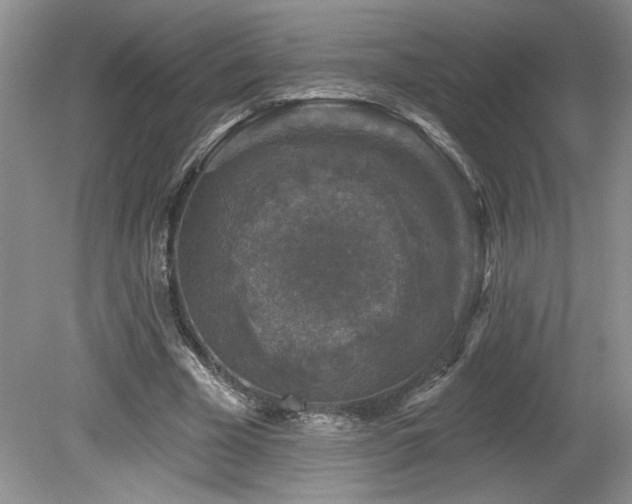 X0000080180585200612081403