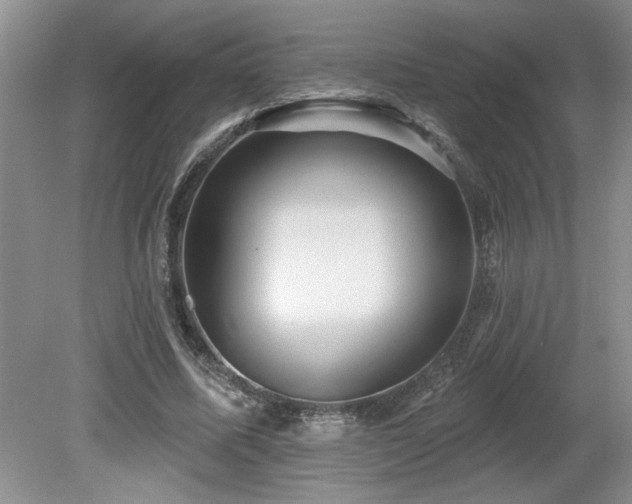 X0000080180587200612081403