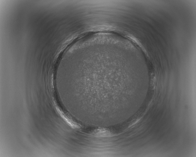 X0000080180589200612081403