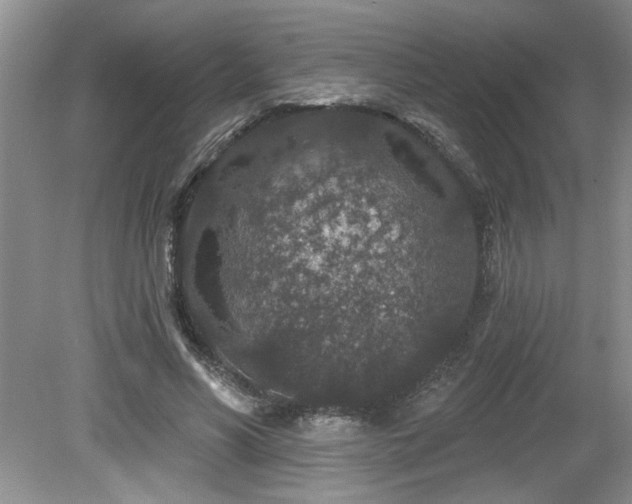 X0000080180590200612081403