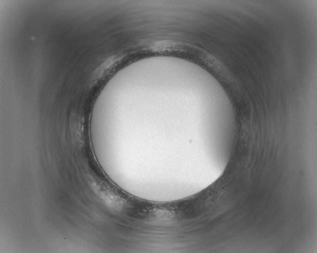 X0000080180592200612081403