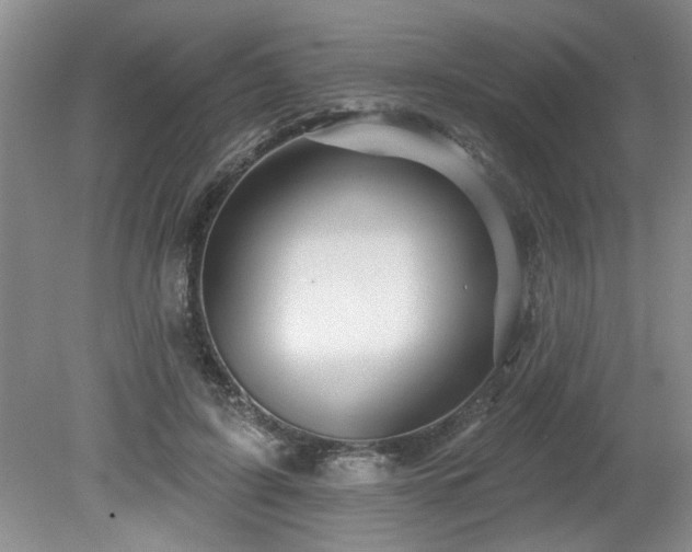 X0000080180595200612081403