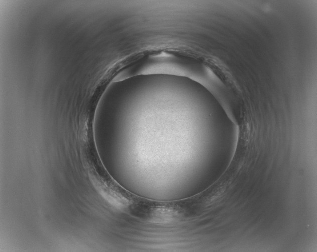 X0000080180596200612081403