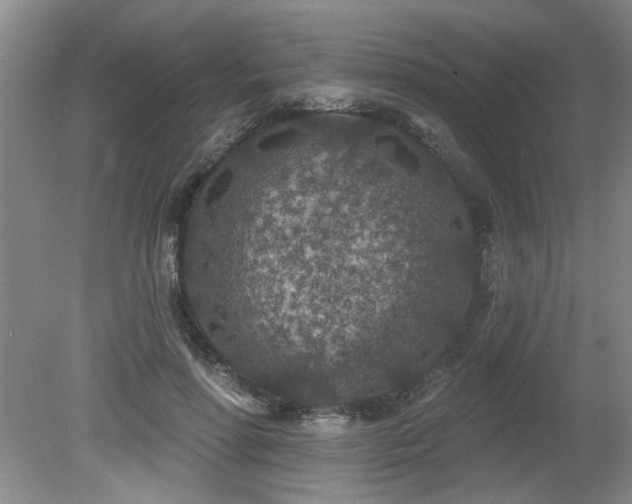 X0000080180598200612081403