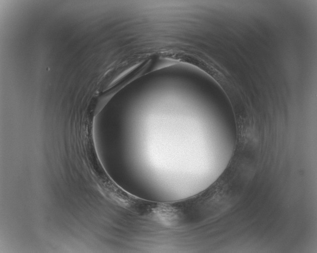 X0000080180603200612081403