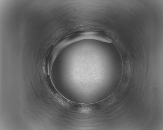 X0000080180604200612081403