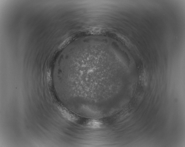 X0000080180610200612081403