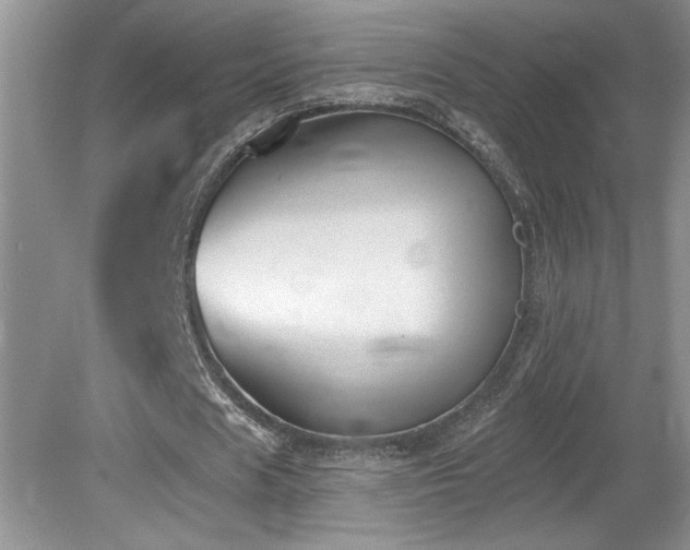 X0000080180625200612081402