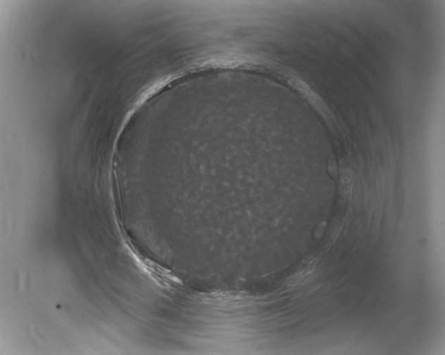 X0000080180626200612081402