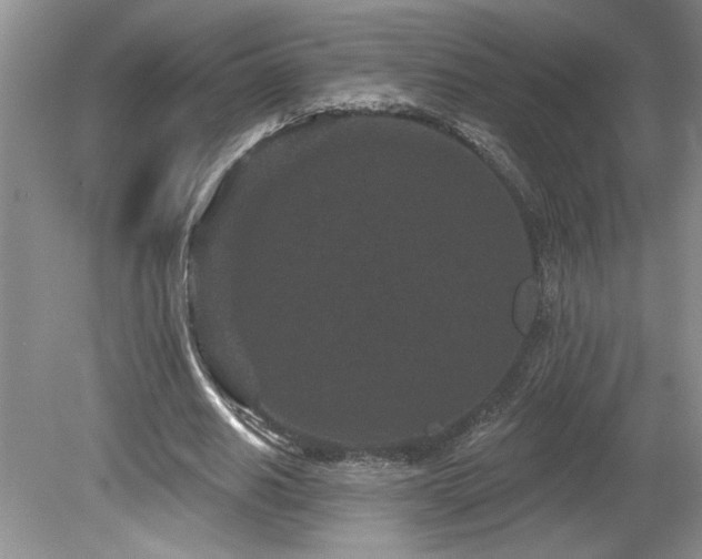 X0000080180630200612081402