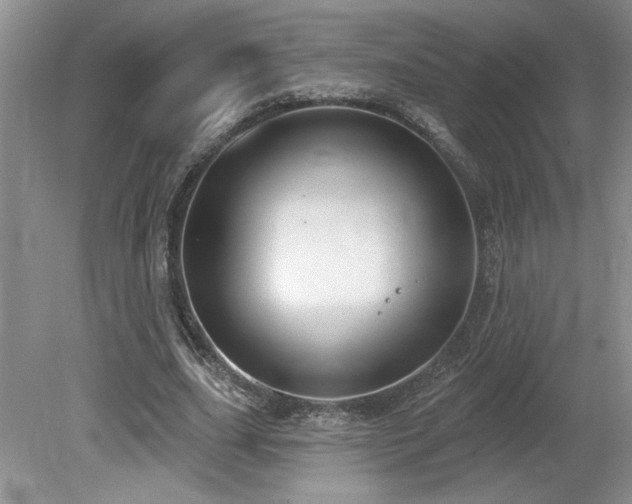 X0000080180631200612081402