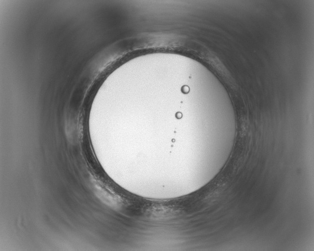 X0000080180632200612081402