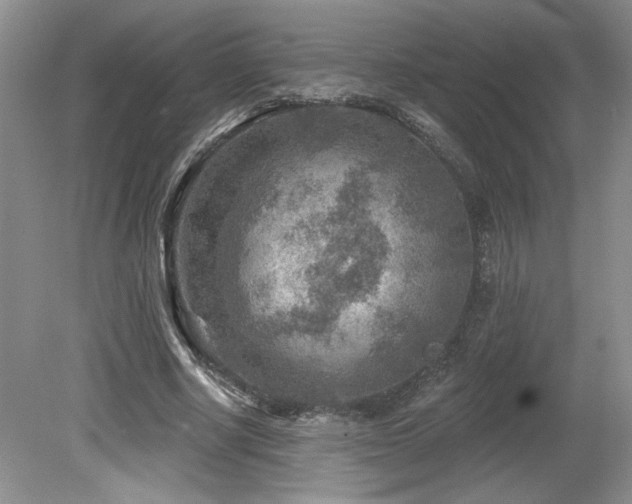 X0000080180634200612081402