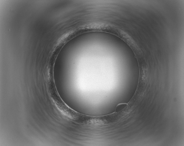 X0000080180636200612081402