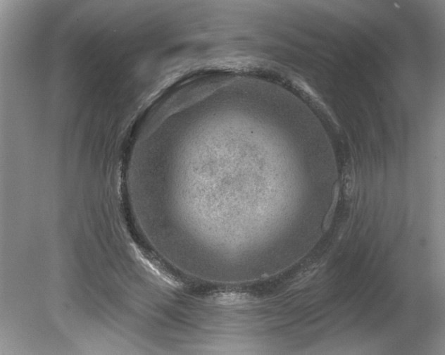 X0000080180637200612081402