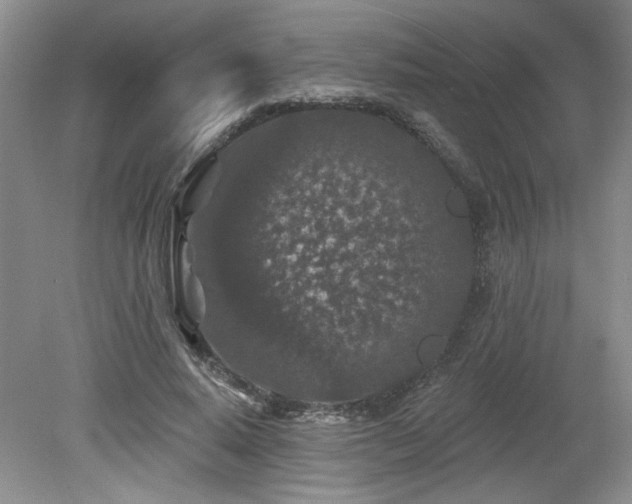 X0000080180640200612081402