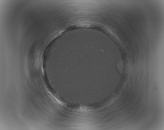 X0000080180641200612081402