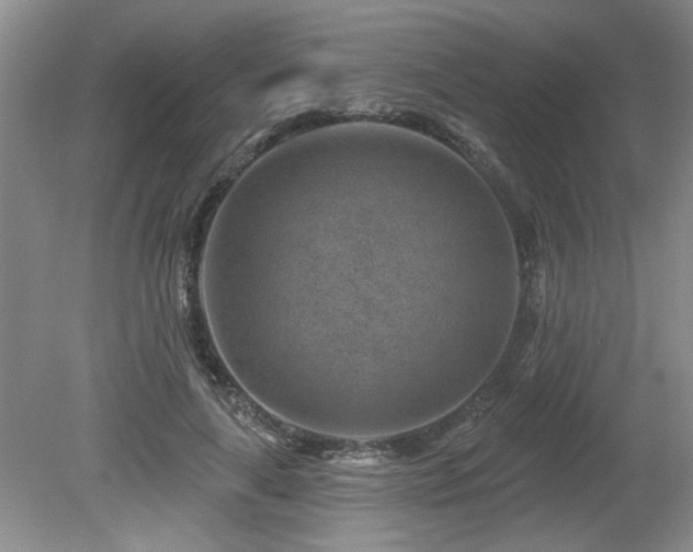 X0000080180643200612081402