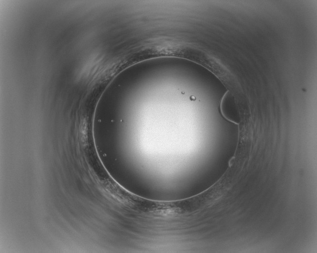 X0000080180646200612081402