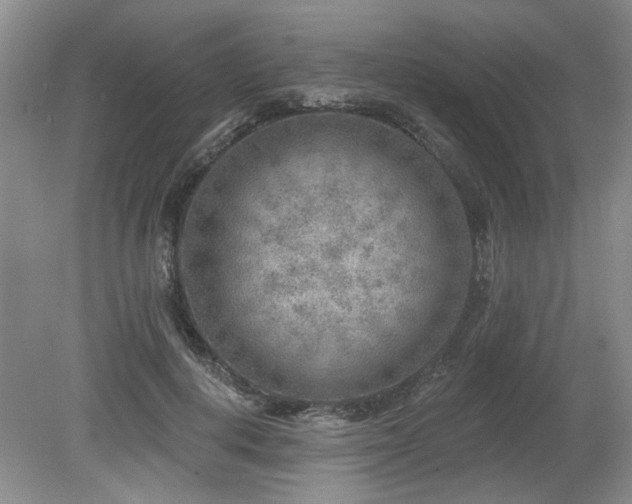 X0000080180648200612081402